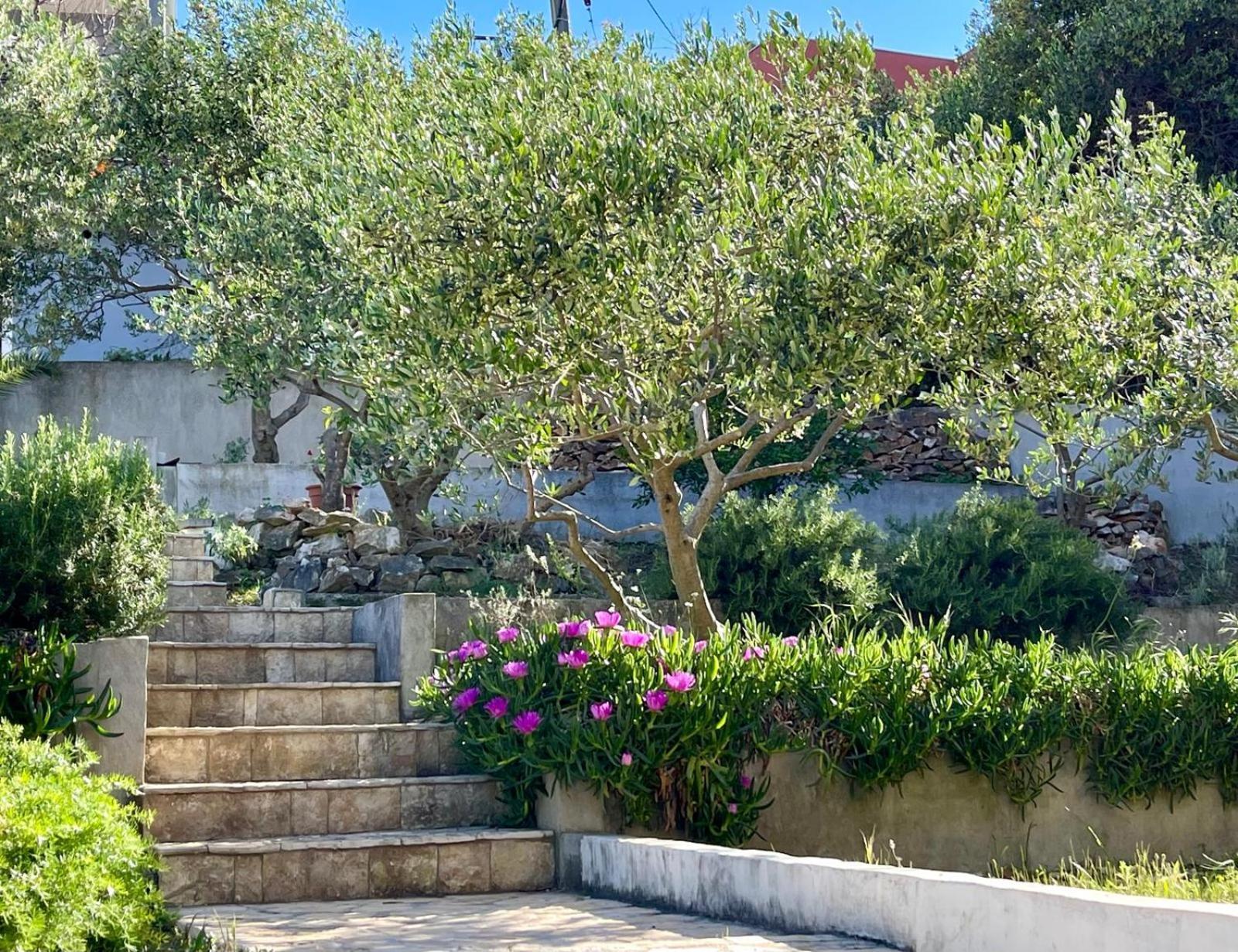 Villa Bua - Beautiful Seafront Apartments تروغير المظهر الخارجي الصورة